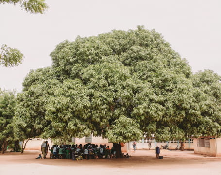 Grid Image 14